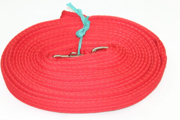 Cushion Web Lunge Lead - Image 2