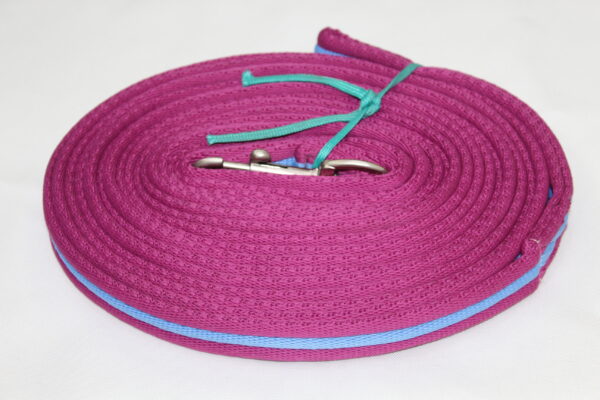 Cushion Web Lunge Lead - Image 4