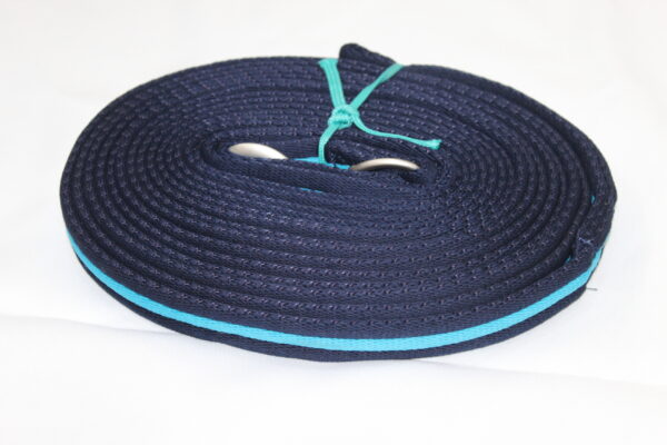 Cushion Web Lunge Lead