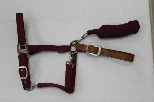 Halters and Lead Rope Set - Image 2