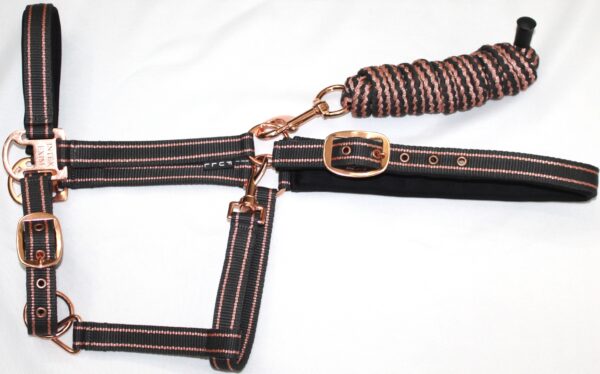 Halters and Lead Rope Set - Image 3