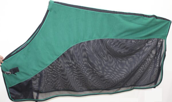 Fusion Rugs - Image 2